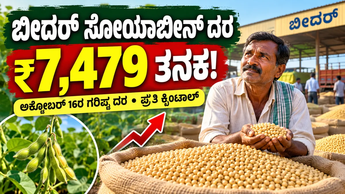 ಬೀದರ್ ಸೋಯಾಬೀನ್ ಮಾರುಕಟ್ಟೆ ಬೆಲೆ ಮತ್ತು ಕೃಷಿ ಉತ್ಪನ್ನ ದರ ಮಾಹಿತಿ