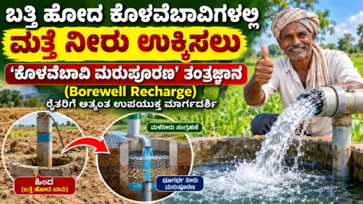ಕೊಳವೆಬಾವಿ ಮರುಪೂರಣ ಮತ್ತು ಮಳೆನೀರು ಸಂಗ್ರಹ ವ್ಯವಸ್ಥೆಯ ಕೃಷಿ ಮಾರ್ಗದರ್ಶಿ ಚಿತ್ರ