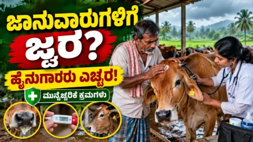 ಮಳೆಗಾಲದಲ್ಲಿ ಹಸುಗಳ ಆರೋಗ್ಯ ರಕ್ಷಣೆ ಮತ್ತು ಹೈನುಗಾರಿಕೆ ಕುರಿತ ಚಿತ್ರ