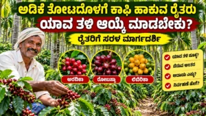 ಅಡಿಕೆ ತೋಟದೊಳಗೆ ಕಾಫಿ ಹಾಕುವ ರೈತರು ಯಾವ ತಳಿ ಆಯ್ಕೆ ಮಾಡಬೇಕು? ರೈತರಿಗೆ ಸರಳ ಮಾರ್ಗದರ್ಶಿ