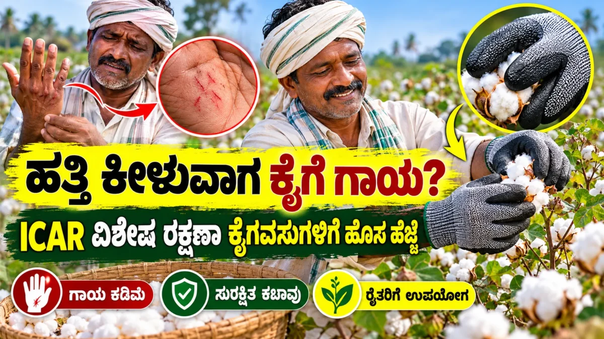ಹತ್ತಿ ಕೀಳುವ ಕೃಷಿ ಕಾರ್ಮಿಕರ ಕೈ ರಕ್ಷಣೆಗೆ ಬಳಸುವ ಸುರಕ್ಷತಾ ಕೈಗವಸುಗಳ ಪ್ರತಿನಿಧಿ ಚಿತ್ರ