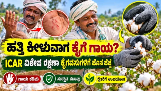 ಹತ್ತಿ ಕೀಳುವ ಕೃಷಿ ಕಾರ್ಮಿಕರ ಕೈ ರಕ್ಷಣೆಗೆ ಬಳಸುವ ಸುರಕ್ಷತಾ ಕೈಗವಸುಗಳ ಪ್ರತಿನಿಧಿ ಚಿತ್ರ