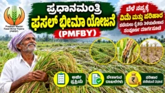 ಪ್ರಧಾನ ಮಂತ್ರಿ ಫಸಲ್ ಬಿಮಾ ಯೋಜನೆ PMFBY ಬೆಳೆ ವಿಮೆ ಮತ್ತು ಬೆಳೆ ನಷ್ಟ ಪರಿಹಾರದ ಚಿತ್ರ