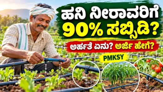 ಹನಿ ನೀರಾವರಿ ವ್ಯವಸ್ಥೆ ಮತ್ತು ಪ್ರಧಾನ ಮಂತ್ರಿ ಕೃಷಿ ಸಿಂಚಾಯಿ ಯೋಜನೆ ಕುರಿತ ಚಿತ್ರ