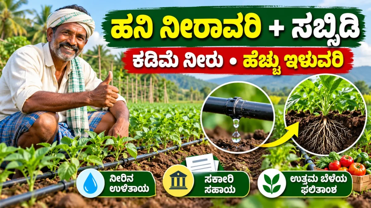 ಕರ್ನಾಟಕ ಜಮೀನಿನಲ್ಲಿ ಹನಿ ನೀರಾವರಿ ಡ್ರಿಪ್ ವ್ಯವಸ್ಥೆಯ ಚಿತ್ರ