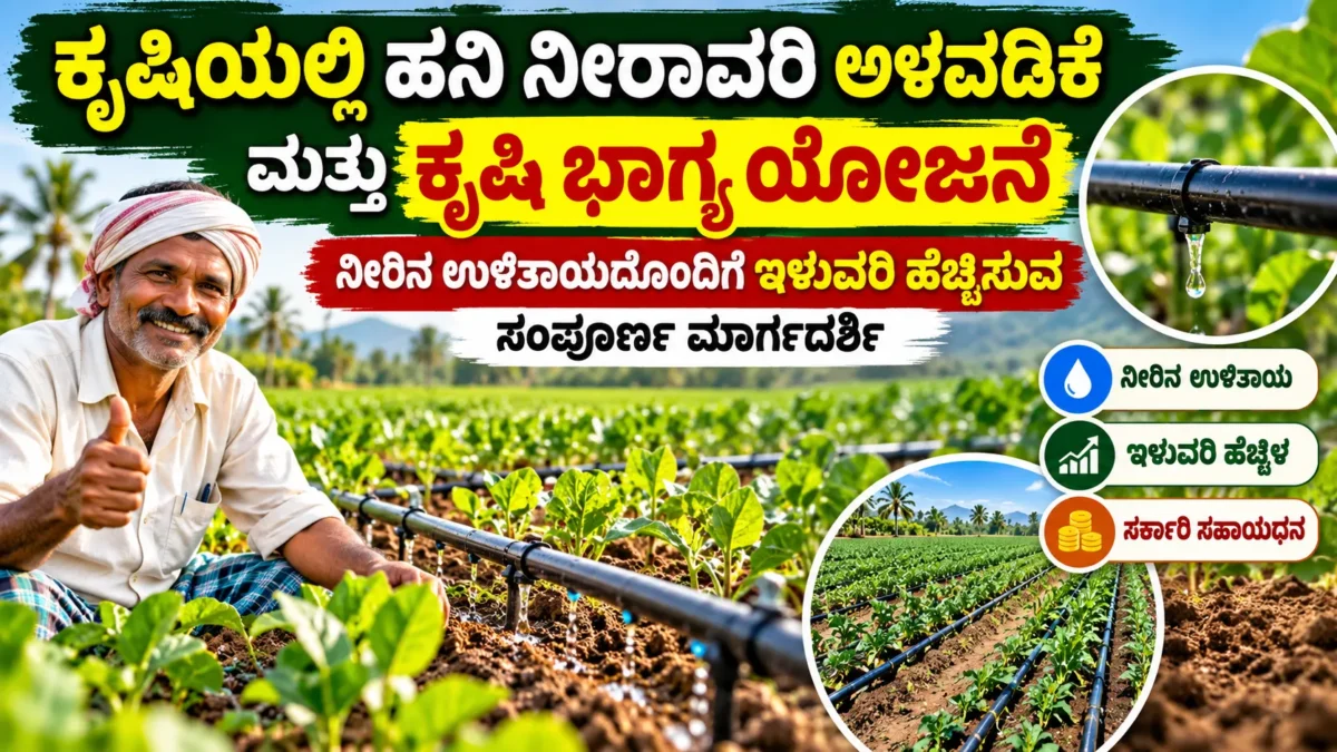 ಕೃಷಿ ಹೊಲದಲ್ಲಿ ಹನಿ ನೀರಾವರಿ ತಂತ್ರಜ್ಞಾನ ಮತ್ತು ಕೃಷಿ ಭಾಗ್ಯ ಯೋಜನೆ ಕುರಿತ ಚಿತ್ರ