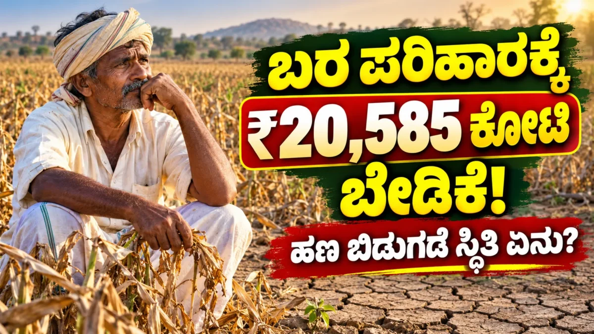 ಕರ್ನಾಟಕ ಬರ ಪರಿಹಾರ ನೆರವಿನ ನಿರೀಕ್ಷೆಯಲ್ಲಿರುವ ಕೃಷಿಕರು ಮತ್ತು ಒಣಗಿದ ಕೃಷಿಭೂಮಿ ಕುರಿತು ಸುದ್ದಿ ಚಿತ್ರ