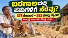 ಕರ್ನಾಟಕ ಬರಪೀಡಿತ ಪ್ರದೇಶದಲ್ಲಿ ಜಾನುವಾರುಗಳಿಗೆ ಗೋಶಾಲೆ ಮತ್ತು ಮೇವು ಬ್ಯಾಂಕ್ ನೆರವಿನ ಅಗತ್ಯ ತೋರಿಸುವ ಚಿತ್ರ