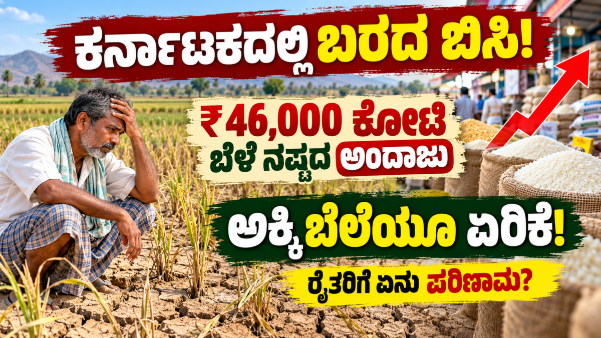 ಕರ್ನಾಟಕ ಬರಗಾಲ 2026 - ₹46000 ಕೋಟಿ ಕೃಷಿ ನಷ್ಟ ಮತ್ತು ಅಕ್ಕಿ ಬೆಲೆ ಏರಿಕೆ | ಕರ್ನಾಟಕ ರೈತ