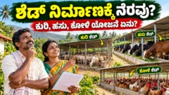ಗ್ರಾಮೀಣ ಪಶು ಶೆಡ್ ಮತ್ತು ಪಶುಸಂಗೋಪನೆ ಸಹಾಯ ಯೋಜನೆ ಮಾಹಿತಿ