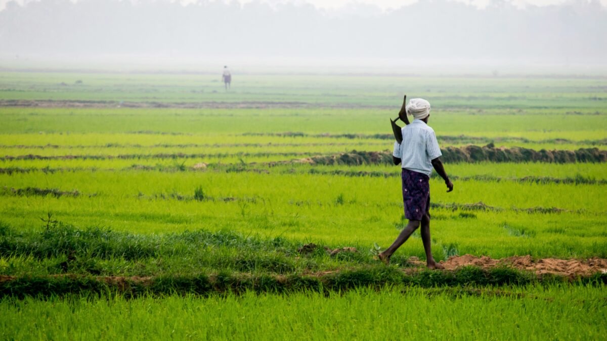 Farmer ID ಕರ್ನಾಟಕ ರೈತ ಡಿಜಿಟಲ್ ಕೃಷಿ ಸೇವೆ