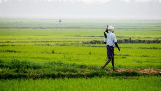 Farmer ID ಕರ್ನಾಟಕ ರೈತ ಡಿಜಿಟಲ್ ಕೃಷಿ ಸೇವೆ