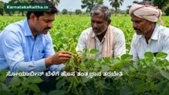 ಸೋಯಾಬೀನ್ ಹೊಲದಲ್ಲಿ ಬೆಳೆ ಪರಿಶೀಲಿಸುತ್ತಿರುವ ಕೃಷಿ ವಿಜ್ಞಾನಿ ಮತ್ತು ರೈತರು — ಪ್ರಾತಿನಿಧಿಕ AI ರಚನೆಯ ಚಿತ್ರ