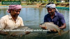 ಕೊಳದಲ್ಲಿ ಮೀನು ಹಿಡಿದಿರುವ ರೈತರು ಮತ್ತು ಮೀನು ಸಾಕಾಣಿಕೆ ಪ್ರಾತ್ಯಕ್ಷಿಕೆಯ ದೃಶ್ಯ — ಪ್ರಾತಿನಿಧಿಕ AI ರಚನೆಯ ಚಿತ್ರ