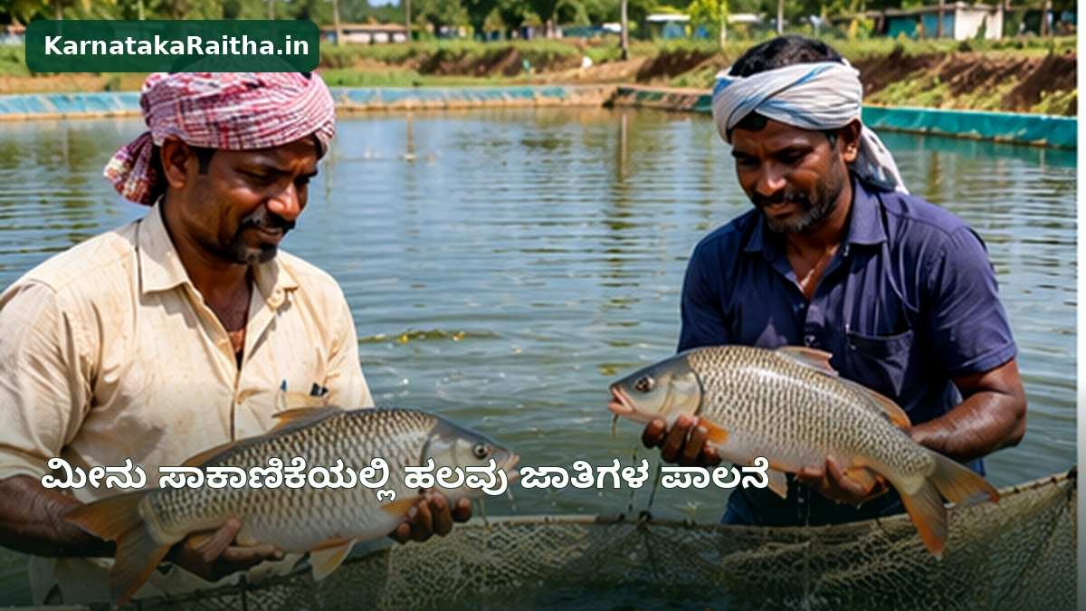 ಕೊಳದಲ್ಲಿ ಮೀನು ಹಿಡಿದಿರುವ ರೈತರು ಮತ್ತು ಮೀನು ಸಾಕಾಣಿಕೆ ಪ್ರಾತ್ಯಕ್ಷಿಕೆಯ ದೃಶ್ಯ — ಪ್ರಾತಿನಿಧಿಕ AI ರಚನೆಯ ಚಿತ್ರ