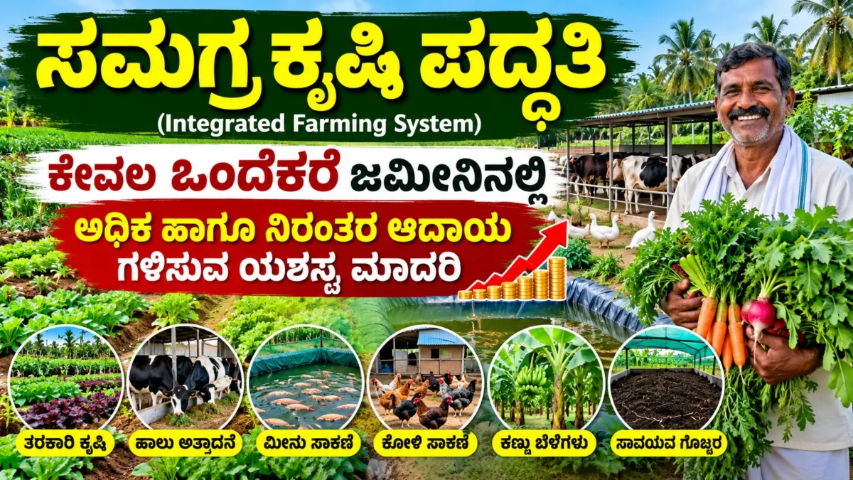 ಒಂದೆಕರೆ ಜಮೀನಿನಲ್ಲಿ ಬೆಳೆ ಮತ್ತು ಜಾನುವಾರು ಸಂಯೋಜಿಸಿರುವ ಸಮಗ್ರ ಕೃಷಿ ಪದ್ಧತಿ ಚಿತ್ರ