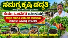 ಒಂದೆಕರೆ ಜಮೀನಿನಲ್ಲಿ ಬೆಳೆ ಮತ್ತು ಜಾನುವಾರು ಸಂಯೋಜಿಸಿರುವ ಸಮಗ್ರ ಕೃಷಿ ಪದ್ಧತಿ ಚಿತ್ರ