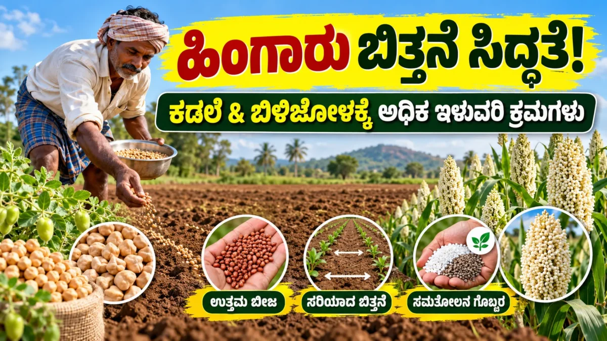 ಕರ್ನಾಟಕದಲ್ಲಿ ಹಿಂಗಾರು ಕಡಲೆ ಮತ್ತು ಬಿಳಿಜೋಳ ಬಿತ್ತನೆ ಕೃಷಿ ಮಾರ್ಗದರ್ಶಿ ಚಿತ್ರ