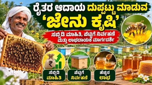 ಜೇನುಗೂಡು ಮತ್ತು ಜೇನು ಪೆಟ್ಟಿಗೆ ನಿರ್ವಹಣೆ ಮೂಲಕ ಜೇನು ಸಾಕಾಣಿಕೆ ಕುರಿತ ಚಿತ್ರ