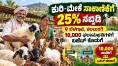 ಕುರಿ ಮತ್ತು ಮೇಕೆ ಸಾಕಾಣಿಕೆ ನೆರವು ಕುರಿತು ಕರ್ನಾಟಕ ಕೃಷಿ ಸುದ್ದಿ