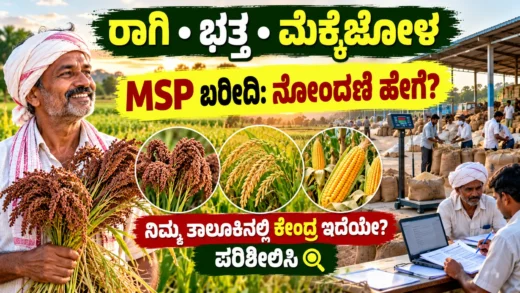 ರಾಗಿ, ಭತ್ತ ಮತ್ತು ಮೆಕ್ಕೆಜೋಳ MSP ಖರೀದಿ ನೋಂದಣಿ ಕುರಿತ ಕೃಷಿ ಚಿತ್ರ