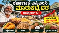 ಕರ್ನಾಟಕ ಎಪಿಎಂಸಿ ಕೃಷಿ ಮಾರುಕಟ್ಟೆಯ ಮೆಕ್ಕೆಜೋಳ, ಕಡಲೆ ಮತ್ತು ತೆಂಗು ಬೆಲೆ ಕುರಿತ ಚಿತ್ರ