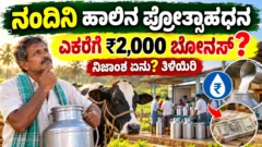 ಕರ್ನಾಟಕದ ಹಾಲು ಉತ್ಪಾದಕರಿಗೆ ನಂದಿನಿ ಪ್ರೋತ್ಸಾಹ ಧನ ವಿವರಿಸುವ ಹಸು ಮತ್ತು ಡೇರಿ ಮಾಹಿತಿ ಚಿತ್ರ