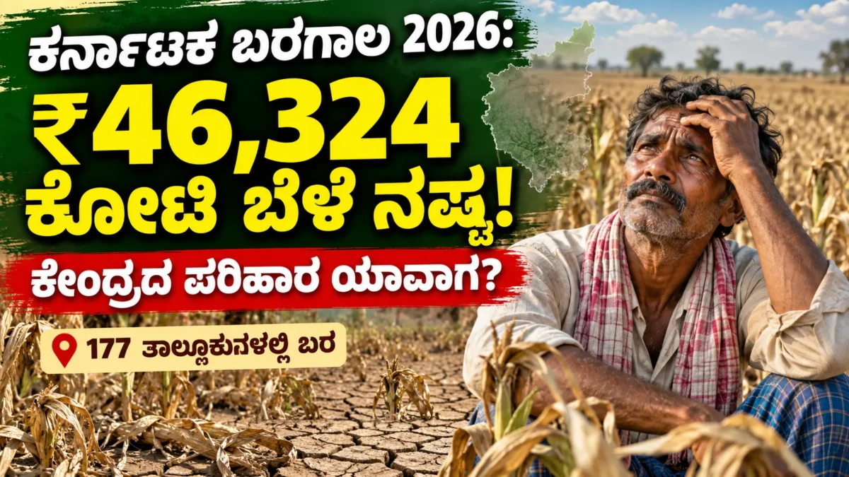 ಬರದಿಂದ ಒಣಗಿರುವ ಕರ್ನಾಟಕದ ಕೃಷಿ ಭೂಮಿ ಮತ್ತು ಬೆಳೆ ಹಾನಿಯ ಚಿತ್ರ