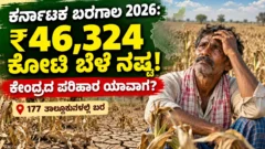 ಬರದಿಂದ ಒಣಗಿರುವ ಕರ್ನಾಟಕದ ಕೃಷಿ ಭೂಮಿ ಮತ್ತು ಬೆಳೆ ಹಾನಿಯ ಚಿತ್ರ