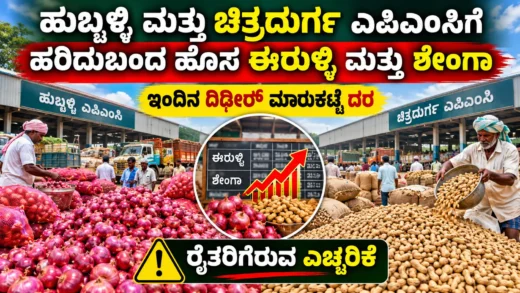 ಹುಬ್ಬಳ್ಳಿ ಚಿತ್ರದುರ್ಗ ಎಪಿಎಂಸಿ ಮಾರುಕಟ್ಟೆಯ ಈರುಳ್ಳಿ ಮತ್ತು ಶೇಂಗಾ ದರಗಳ ಕುರಿತ ಚಿತ್ರ