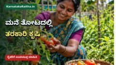 ಬಳ್ಳಾರಿ ಸಂಡೂರಿನಲ್ಲಿ ಮನೆ ತೋಟದ ತರಕಾರಿ ಬೆಳೆ