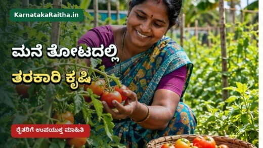 ಬಳ್ಳಾರಿ ಸಂಡೂರಿನಲ್ಲಿ ಮನೆ ತೋಟದ ತರಕಾರಿ ಬೆಳೆ