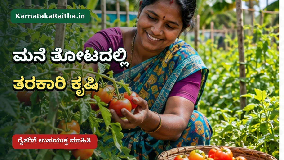 ಬಳ್ಳಾರಿ ಸಂಡೂರಿನಲ್ಲಿ ಮನೆ ತೋಟದ ತರಕಾರಿ ಬೆಳೆ
