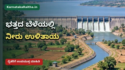 ಕರ್ನಾಟಕದ ಭತ್ತದ ಹೊಲದಲ್ಲಿ ನೀರಿನ ಸಮರ್ಪಕ ಬಳಕೆ