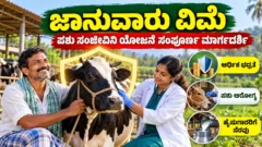 ಜಾನುವಾರು ವಿಮೆ ಮತ್ತು ಪಶು ಸಂಜೀವಿನಿ ಸೇವೆಗಳ ಹಸು ಸಾಕಾಣಿಕೆ ಚಿತ್ರ