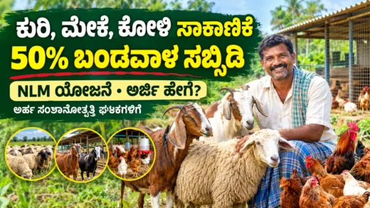 ಗ್ರಾಮೀಣ ಕರ್ನಾಟಕದ ಕುರಿ ಮೇಕೆ ಮತ್ತು ಕೋಳಿ ಸಾಕಾಣಿಕೆ ಚಿತ್ರ
