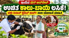 ಪಶುವೈದ್ಯರಿಂದ ಜಾನುವಾರಿಗೆ ಲಸಿಕೆ ನೀಡುವಿಕೆ ಮತ್ತು ರೈತರಿಗೆ ಪಶುಸಂಗೋಪನೆ ನೆರವು ಕುರಿತ ಚಿತ್ರ