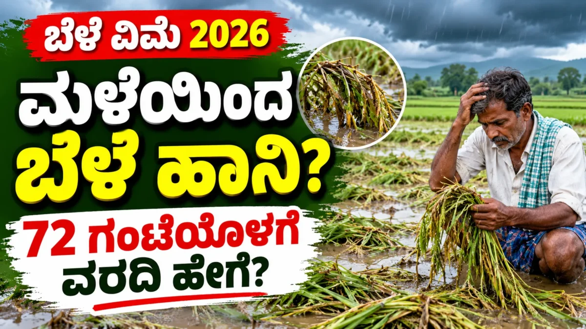 ಮಳೆಯಿಂದ ಹಾನಿಗೊಳಗಾದ ಕೃಷಿ ಬೆಳೆ ಮತ್ತು ಬೆಳೆ ವಿಮೆ ಮಾಹಿತಿ ಕುರಿತ ಚಿತ್ರ
