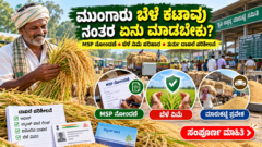 ಮುಂಗಾರು ಬೆಳೆ ಕಟಾವು ಮತ್ತು MSP ಬೆಂಬಲ ಬೆಲೆ ನೋಂದಣಿ ಮಾರ್ಗದರ್ಶಿ | ಕರ್ನಾಟಕ ರೈತ