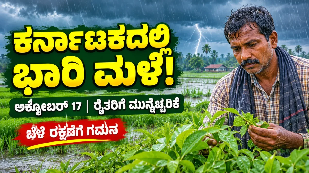 ಕರ್ನಾಟಕದ ಕೃಷಿ ಪ್ರದೇಶದಲ್ಲಿ ಮಳೆ ಮತ್ತು ಹವಾಮಾನ ಪರಿಸ್ಥಿತಿ ತೋರಿಸುವ ಚಿತ್ರ