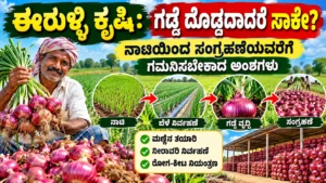 ಈರುಳ್ಳಿ ಕೃಷಿ: ಗಡ್ಡೆ ದೊಡ್ಡದಾದರೆ ಸಾಕೇ? ನಾಟಿಯಿಂದ ಸಂಗ್ರಹಣೆಯವರೆಗೆ ಗಮನಿಸಬೇಕಾದ ಅಂಶಗಳು