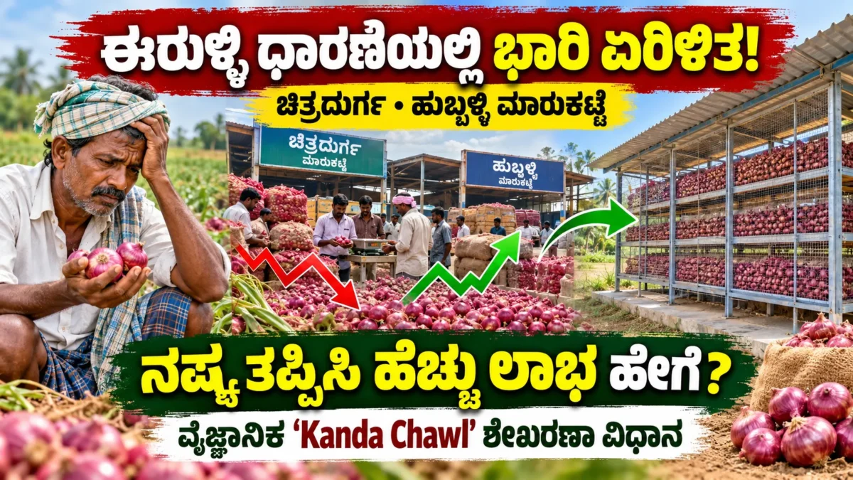 ಈರುಳ್ಳಿ ಶೇಖರಣಾ ವಿಧಾನ ಮತ್ತು ಕಂದಾ ಚಾವ್ಲ್ ವ್ಯವಸ್ಥೆ ಕುರಿತ ಚಿತ್ರ