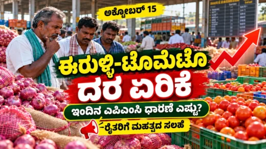 ಕರ್ನಾಟಕ ಎಪಿಎಂಸಿ ಮಾರುಕಟ್ಟೆಯಲ್ಲಿ ಈರುಳ್ಳಿ ಮತ್ತು ಟೊಮೆಟೊ ಧಾರಣೆ ಕುರಿತ ಚಿತ್ರ