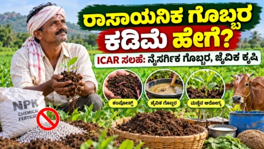 ರಾಸಾಯನಿಕ ಗೊಬ್ಬರ ಅವಲಂಬನೆ ಕಡಿಮೆ ಮಾಡಿ ಸಾವಯವ ಮಣ್ಣು ನಿರ್ವಹಣೆಗೆ ಒತ್ತು ನೀಡುವ ಕೃಷಿ ಮಾಹಿತಿ ಚಿತ್ರ