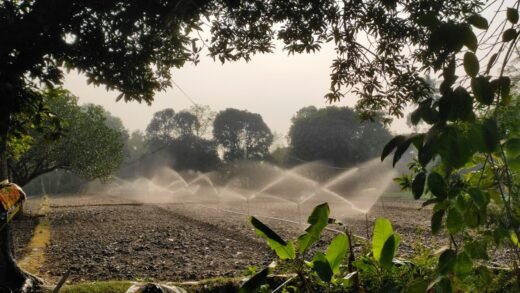 PM Dhan-Dhaanya Krishi Yojana