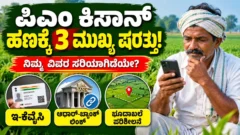 ಪಿಎಂ ಕಿಸಾನ್ ಯೋಜನೆಗೆ ಅರ್ಹತೆ ಮತ್ತು e-KYC ದಾಖಲೆ ಪರಿಶೀಲನೆಯ ಮಾರ್ಗದರ್ಶಿ ಚಿತ್ರ