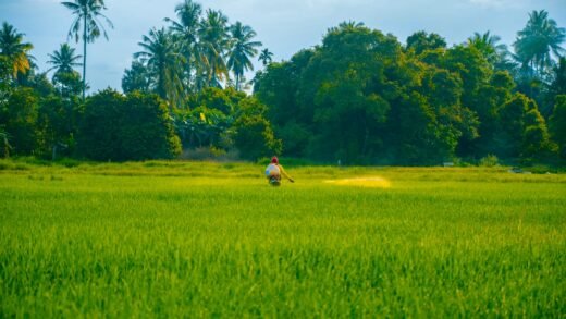 PM-KISAN ಯೋಜನೆ 2030-31ರವರೆಗೆ ಮುಂದುವರಿಕೆ