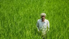 PM Kisan Maandhan ರೈತ ಪಿಂಚಣಿ