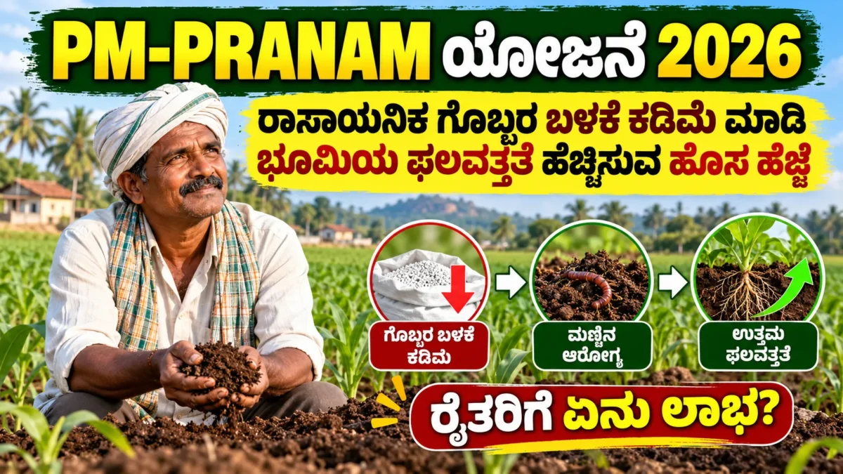 ಕರ್ನಾಟಕದ ಹಸಿರು ಕೃಷಿ ಹೊಲದಲ್ಲಿ ಮಣ್ಣು ಮತ್ತು ಗೊಬ್ಬರದ ಸಮತೋಲನದ ಮಾಹಿತಿ ಚಿತ್ರ
