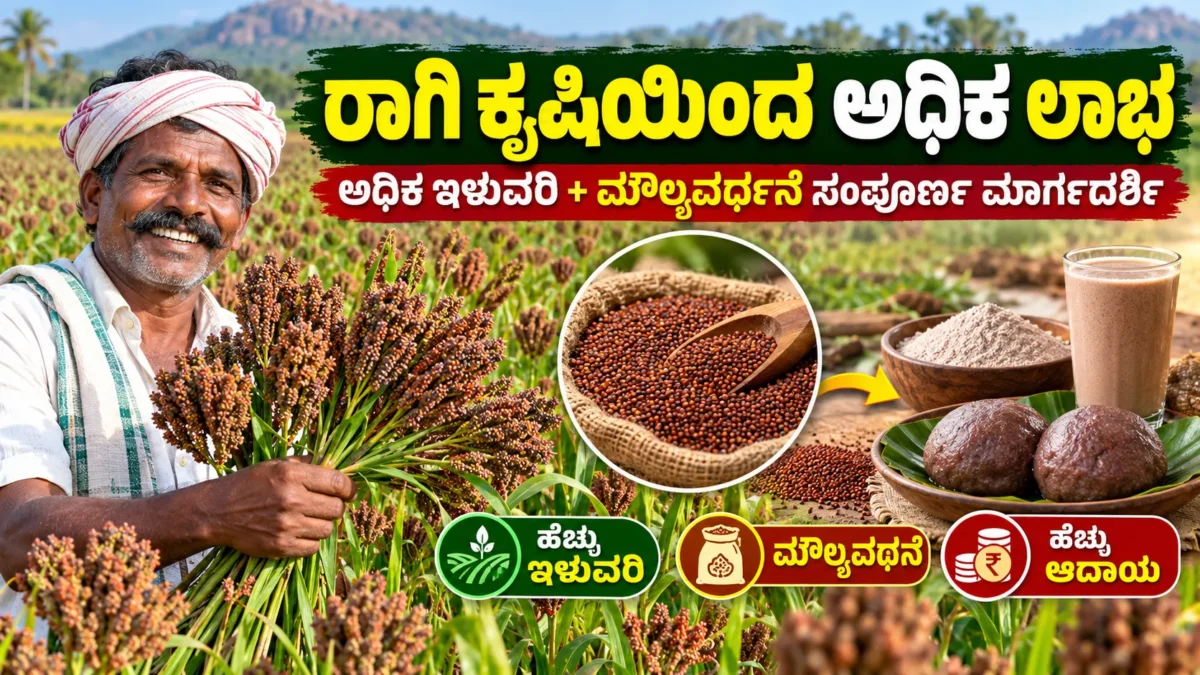 ಕರ್ನಾಟಕದಲ್ಲಿ ರಾಗಿ ಬೆಳೆ, ರಾಗಿ ಕೊಯ್ಲು ಮತ್ತು ಮೌಲ್ಯವರ್ಧನೆ ಕುರಿತ ಕೃಷಿ ಚಿತ್ರ